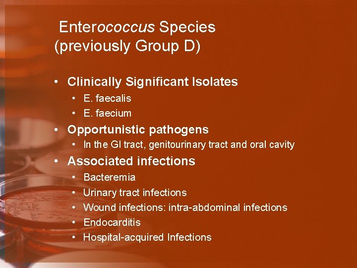 Enterococcus Species (previously Group D) • Clinically Significant Isolates • E. faecalis • E.