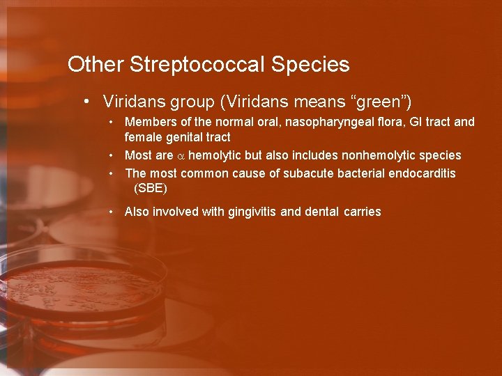 Other Streptococcal Species • Viridans group (Viridans means “green”) • Members of the normal