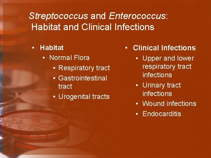 Streptococcus and Enterococcus: Habitat and Clinical Infections • Habitat • Normal Flora • Respiratory