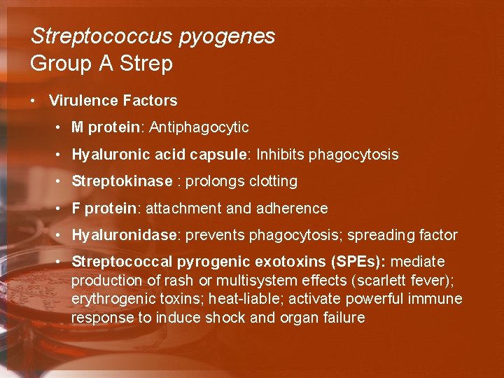 Streptococcus pyogenes Group A Strep • Virulence Factors • M protein: Antiphagocytic • Hyaluronic