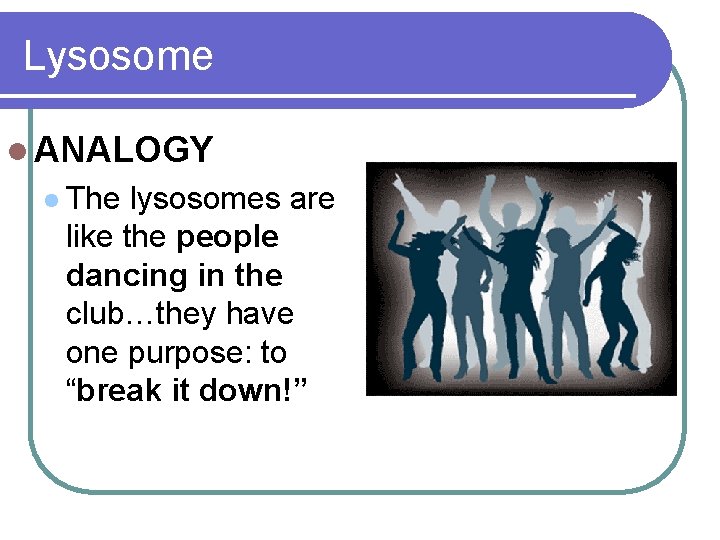 Lysosome l ANALOGY l The lysosomes are like the people dancing in the club…they