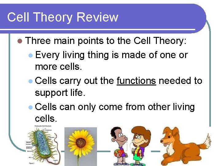 Cell Theory Review l Three main points to the Cell Theory: l Every living