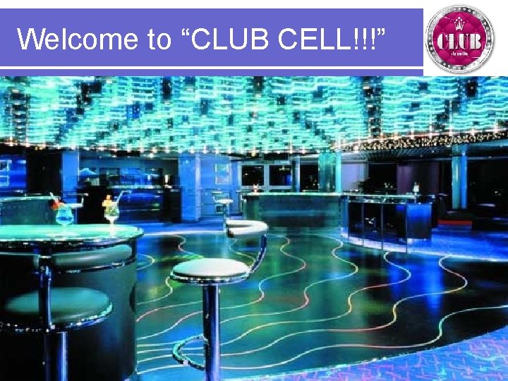 Welcome to “CLUB CELL!!!” 