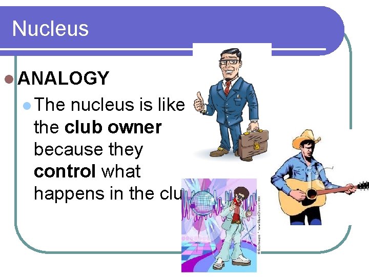 Nucleus l ANALOGY l The nucleus is like the club owner because they control