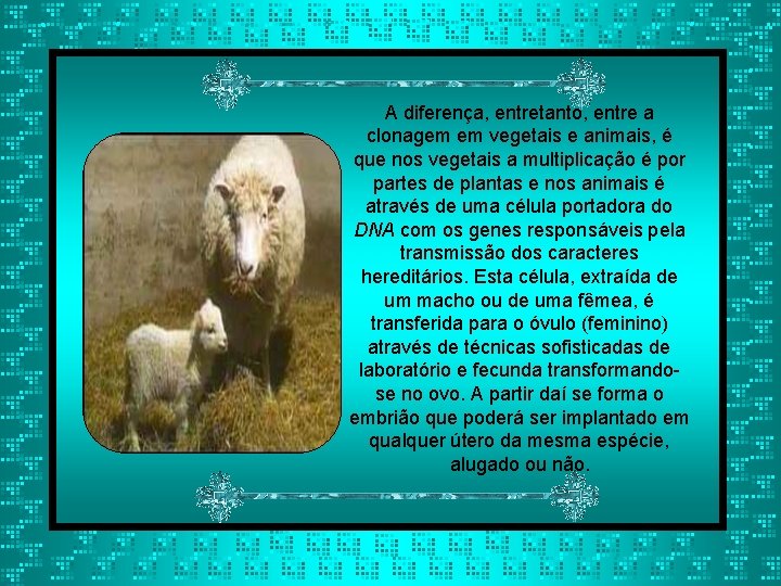 A diferença, entretanto, entre a clonagem em vegetais e animais, é que nos vegetais