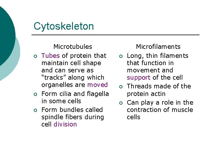 Cytoskeleton ¡ ¡ ¡ Microtubules Tubes of protein that maintain cell shape and can