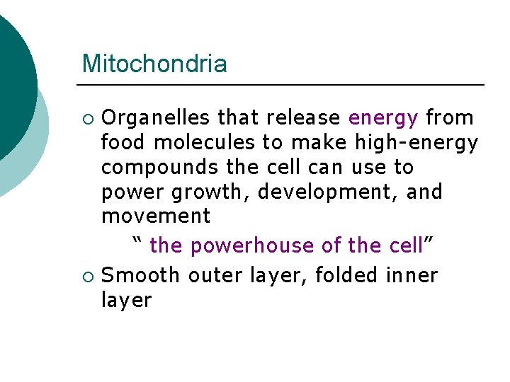 Mitochondria Organelles that release energy from food molecules to make high-energy compounds the cell