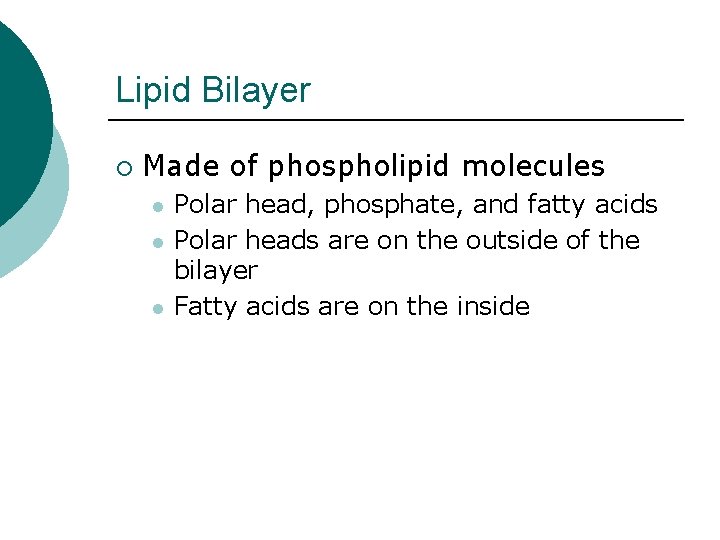 Lipid Bilayer ¡ Made of phospholipid molecules l l l Polar head, phosphate, and
