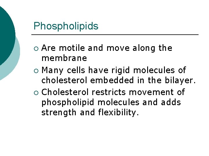 Phospholipids Are motile and move along the membrane ¡ Many cells have rigid molecules