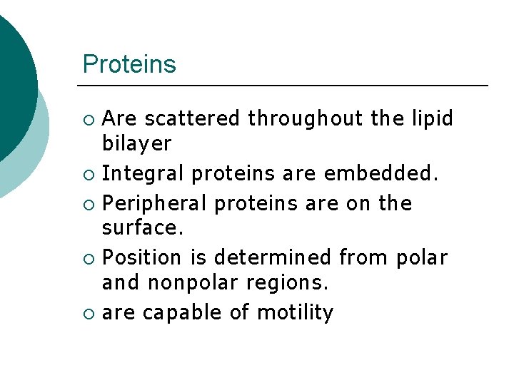 Proteins Are scattered throughout the lipid bilayer ¡ Integral proteins are embedded. ¡ Peripheral