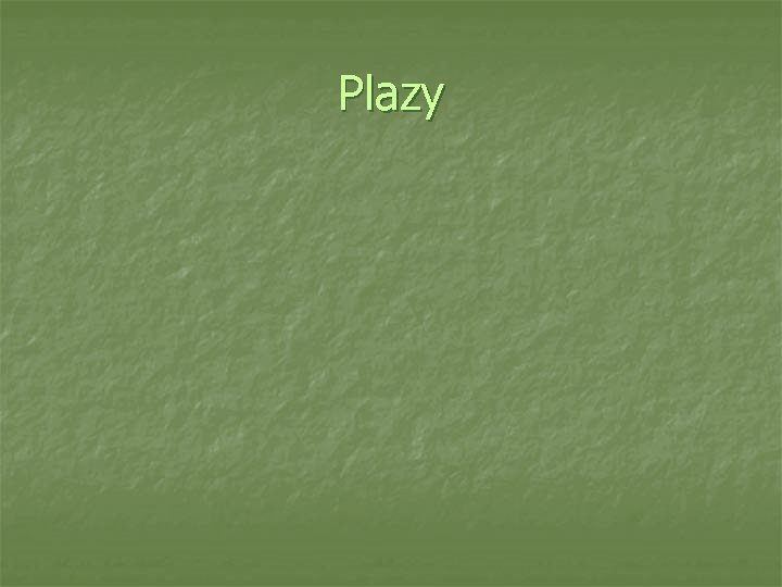 Plazy 