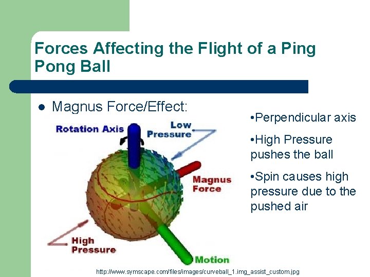 Forces Affecting the Flight of a Ping Pong Ball l Magnus Force/Effect: • Perpendicular