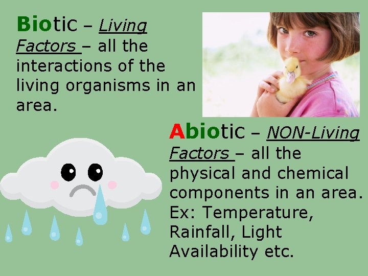 Biotic – Living Factors – all the interactions of the living organisms in an