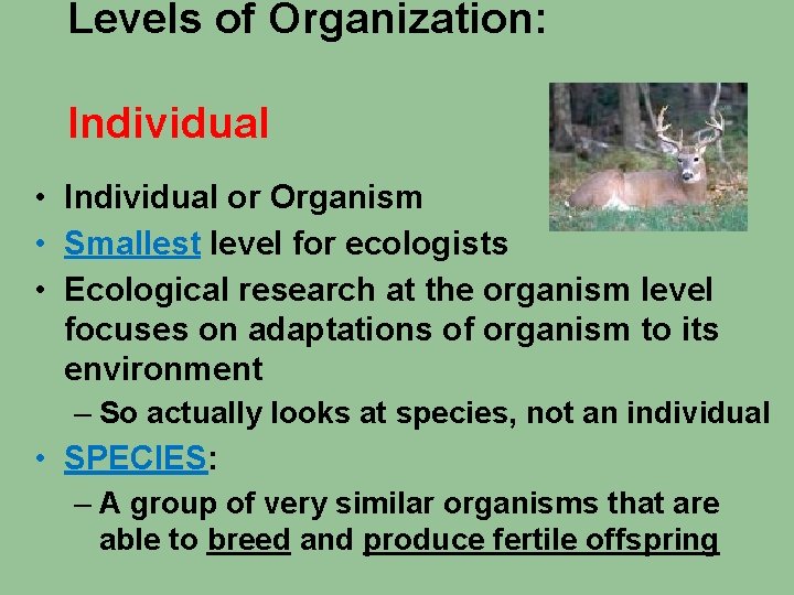 Levels of Organization: Individual • Individual or Organism • Smallest level for ecologists •