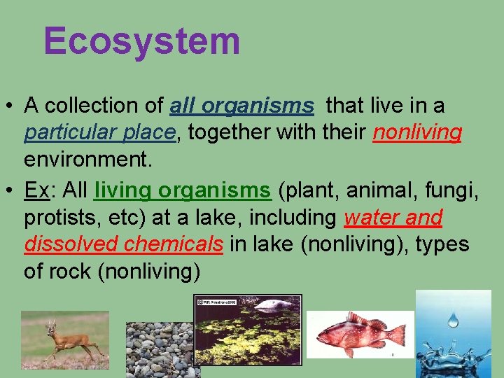 Ecosystem • A collection of all organisms that live in a particular place, together