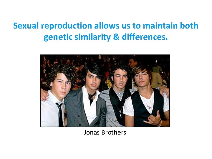 Sexual reproduction allows us to maintain both genetic similarity & differences. Jonas Brothers 