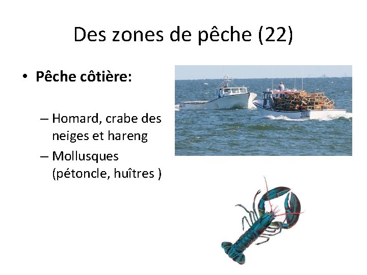 Des zones de pêche (22) • Pêche côtière: – Homard, crabe des neiges et