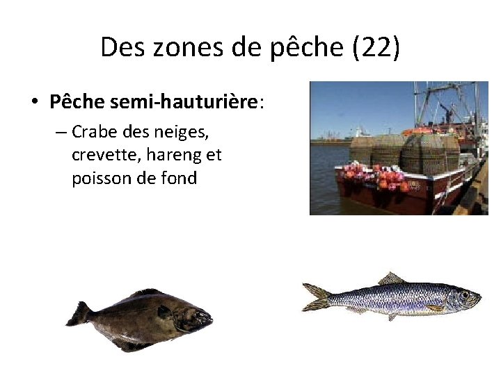 Des zones de pêche (22) • Pêche semi-hauturière: – Crabe des neiges, crevette, hareng
