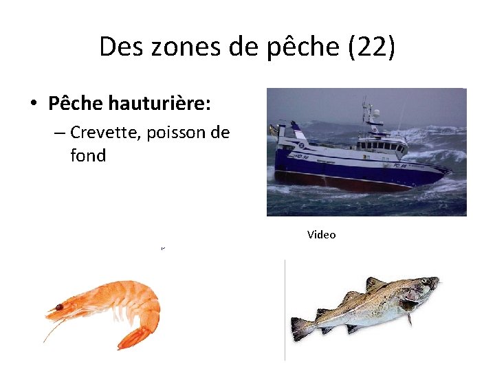 Des zones de pêche (22) • Pêche hauturière: – Crevette, poisson de fond Video