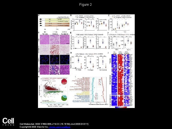 Figure 2 Cell Metabolism 2020 31892 -908. e 11 DOI: (10. 1016/j. cmet. 2020.