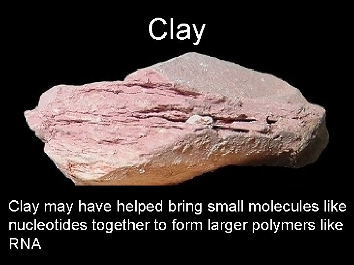 Clay may have helped bring small molecules like nucleotides together to form larger polymers Clay may have helped bring small molecules like nucleotides together to form larger polymers