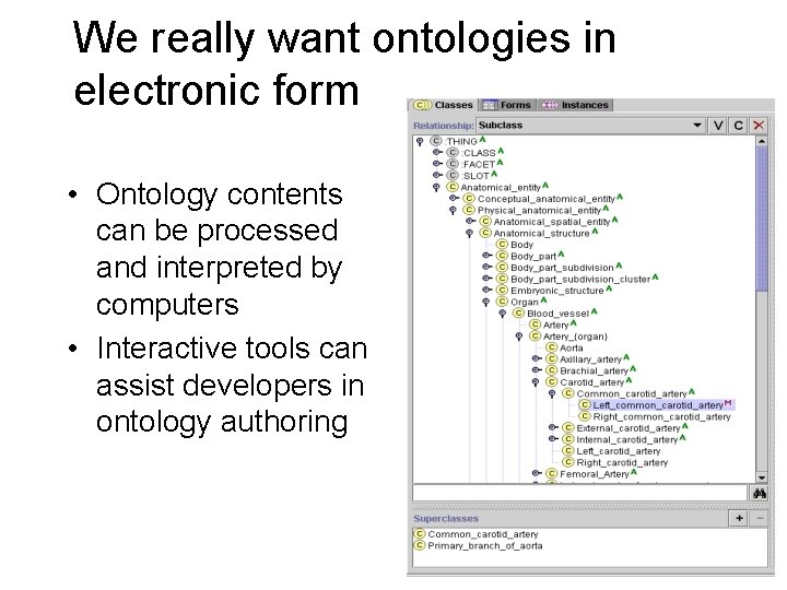 We really want ontologies in electronic form • Ontology contents can be processed and