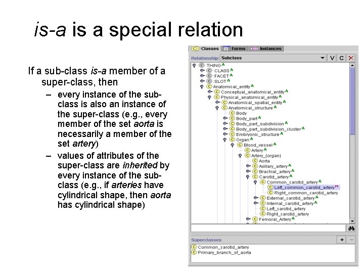is-a is a special relation If a sub-class is-a member of a super-class, then