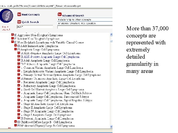 More than 37, 000 concepts are represented with extremely detailed granularity in many areas