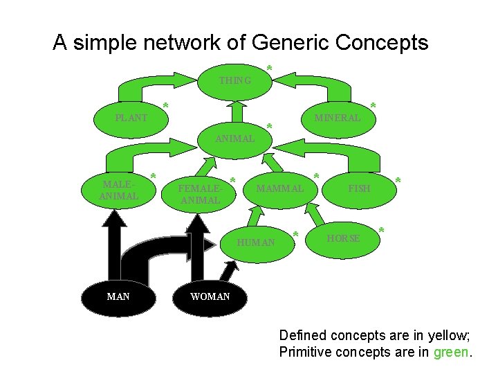 A simple network of Generic Concepts THING * PLANT ANIMAL MALEANIMAL * * FEMALEANIMAL