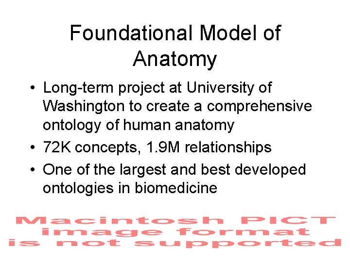 Foundational Model of Anatomy • Long-term project at University of Washington to create a