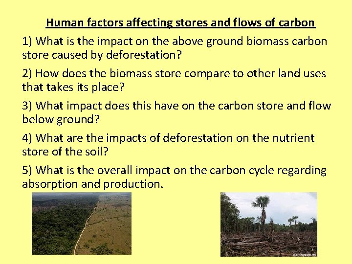 Human factors affecting stores and flows of carbon 1) What is the impact on