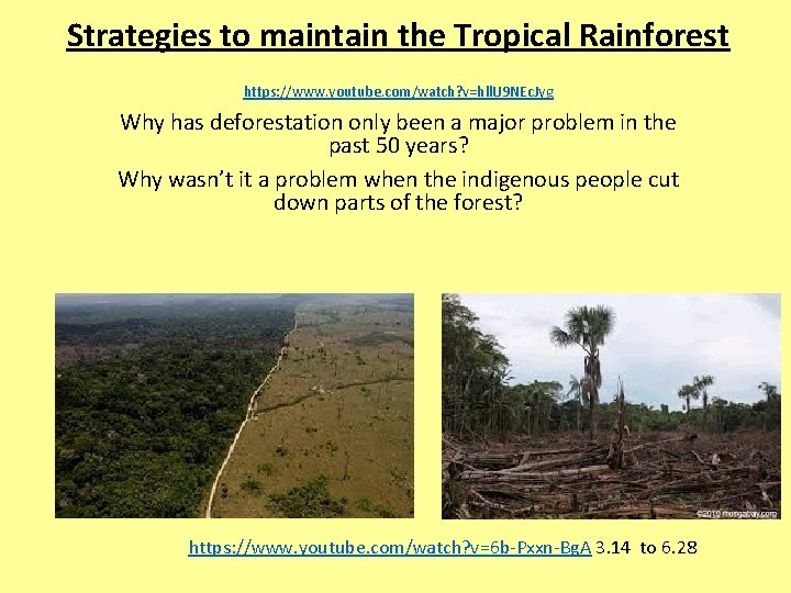 Strategies to maintain the Tropical Rainforest https: //www. youtube. com/watch? v=hll. U 9 NEc.