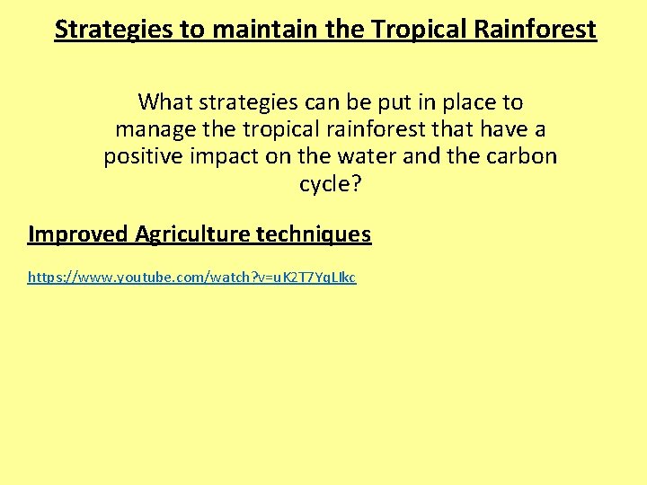 Strategies to maintain the Tropical Rainforest What strategies can be put in place to