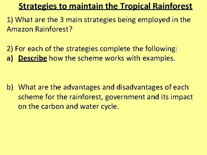 Strategies to maintain the Tropical Rainforest 1) What are the 3 main strategies being