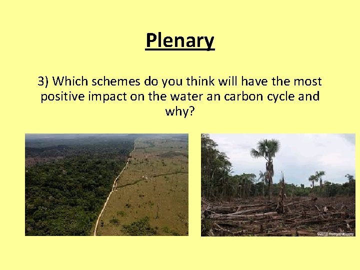 Plenary 3) Which schemes do you think will have the most positive impact on