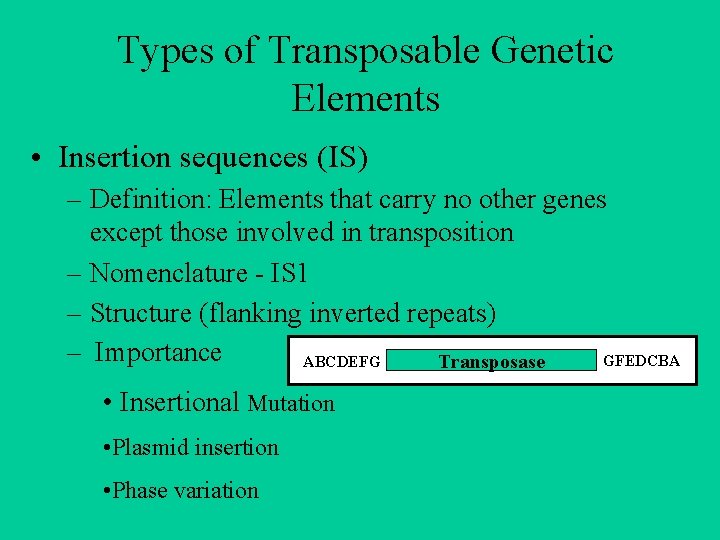 Types of Transposable Genetic Elements • Insertion sequences (IS) – Definition: Elements that carry