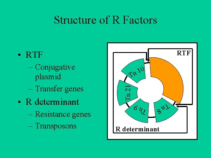 Structure of R Factors RTF • RTF Tn 21 T n 9 – Resistance
