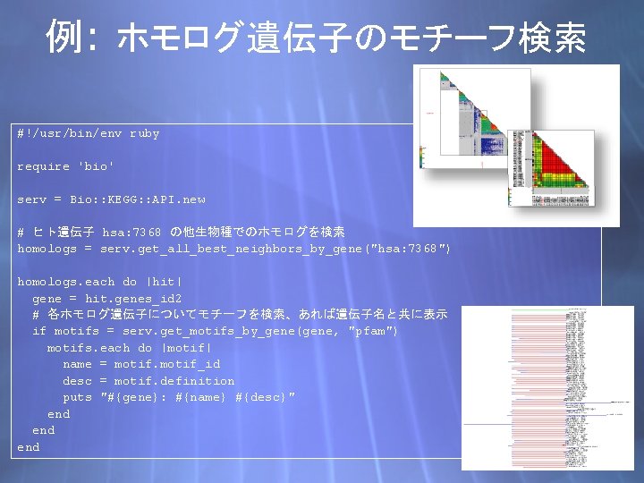 例: ホモログ遺伝子のモチーフ検索 #!/usr/bin/env ruby require 'bio' serv = Bio: : KEGG: : API. new