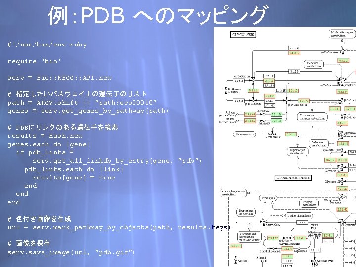 例：PDB へのマッピング #!/usr/bin/env ruby require 'bio' serv = Bio: : KEGG: : API. new