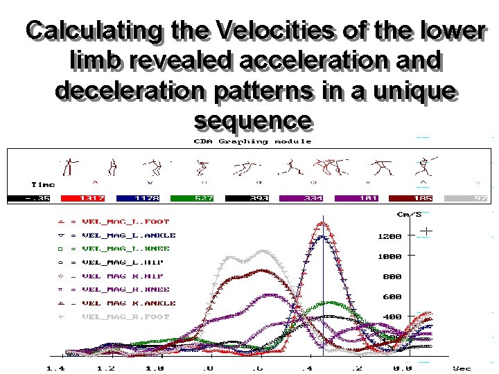 Calculating the Velocities of of the lower limb revealed acceleration and deceleration patterns in