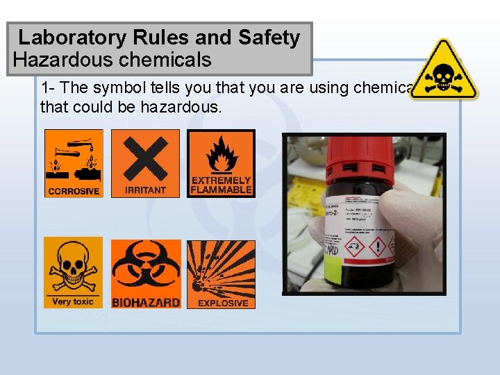 Laboratory Rules and Safety Hazardous chemicals 1 - The symbol tells you that you