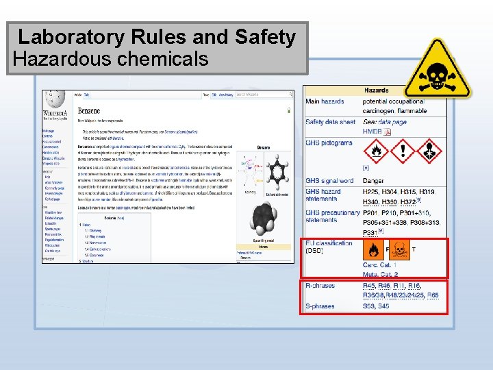 Laboratory Rules and Safety Hazardous chemicals 