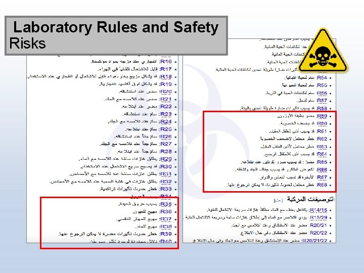 Laboratory Rules and Safety Risks 