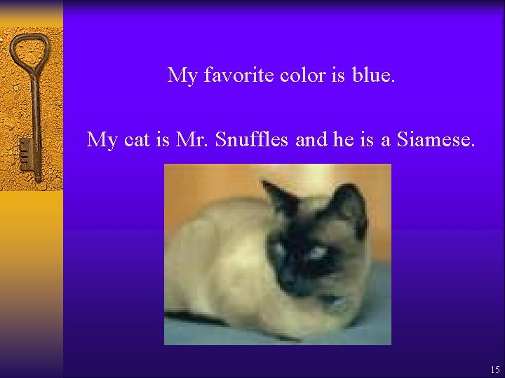 My favorite color is blue. My cat is Mr. Snuffles and he is a