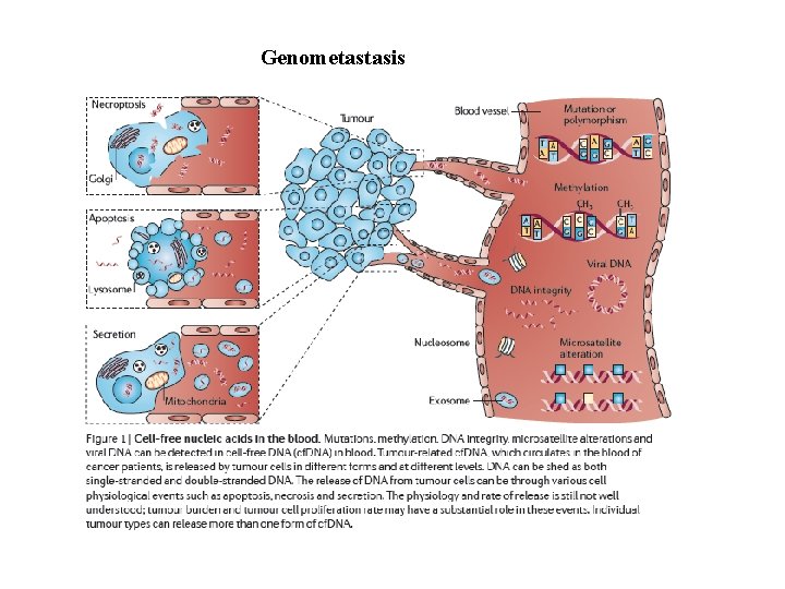 Cellfree circulating DNA as a biomarker of several