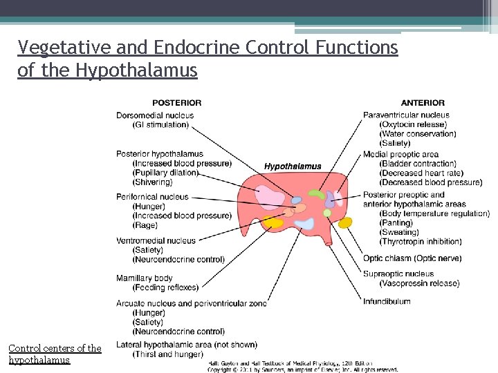 Vegetative and Endocrine Control Functions of the Hypothalamus Control centers of the hypothalamus 