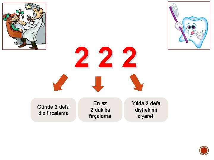 222 Günde 2 defa diş fırçalama En az 2 dakika fırçalama Yılda 2 defa