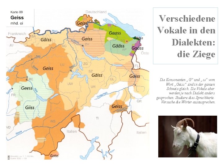 Verschiedene Vokale in den Dialekten: die Ziege Die Konsonanten „G“ und „ss“ vom Wort