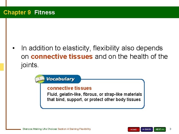 Chapter 9 Fitness • In addition to elasticity, flexibility also depends on connective tissues