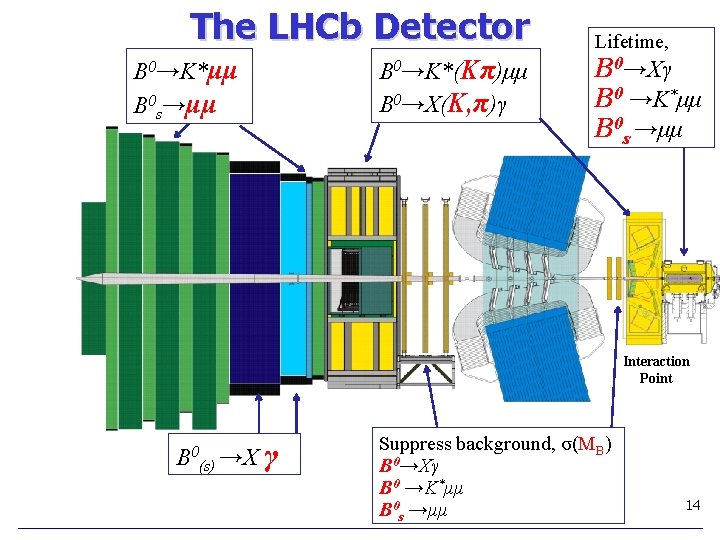 The LHCb Detector B 0→K*(Kπ)μμ B 0→X(K, π)γ B 0→K*μμ B 0 s→μμ Lifetime,